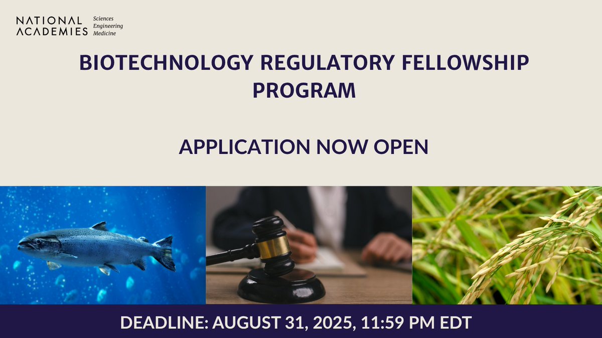 NASEM_BioRegFS's tweet image. Time is running out! Apply now for the Biotechnology Regulatory Fellowship, make sure your application is complete and submitted on time.
Apply now - ow.ly/32V550Wh1r7
#BiotechnologyFellowship #RegulatoryPolicy #ApplyNow #Fellowship