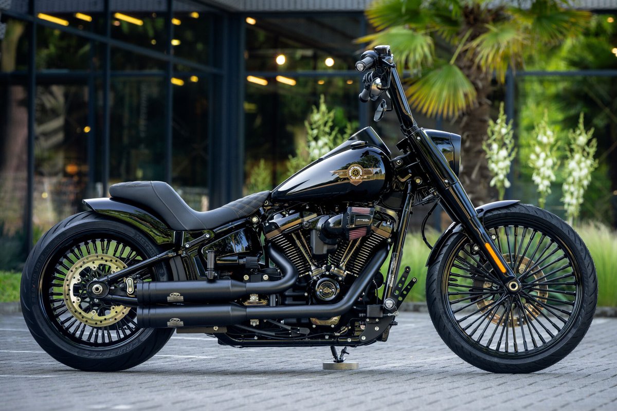 New <a href="/harleydavidson/">Harley-Davidson</a> Fat Boy project by Thunderbike. Check all details of this customized 30th anniversary Fat Boy here : thunderbike.com/custombikes/da… #harleydavidson #FatboyFriday #motorcycle #friday #WeekendMood