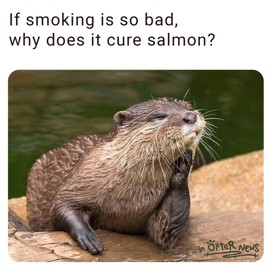 Just trust me, Steve.