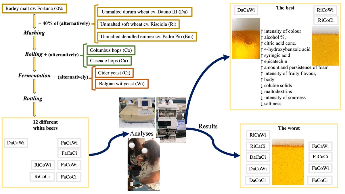 #mdpibeverages Read the Editor's Choice Paper! 
Single and Interactive Effects of Unmalted Cereals, Hops, and Yeasts on Quality of White-Inspired Craft Beers
brnw.ch/21wU4E3
<a href="/MDPIOpenAccess/">MDPI</a> <a href="/MDPIbio/">MDPI BiologyLifeSci</a> <a href="/Scilit_/">Scilit</a>
 #beverages #drinks #CraftBeer #MaltedCereals #cereals