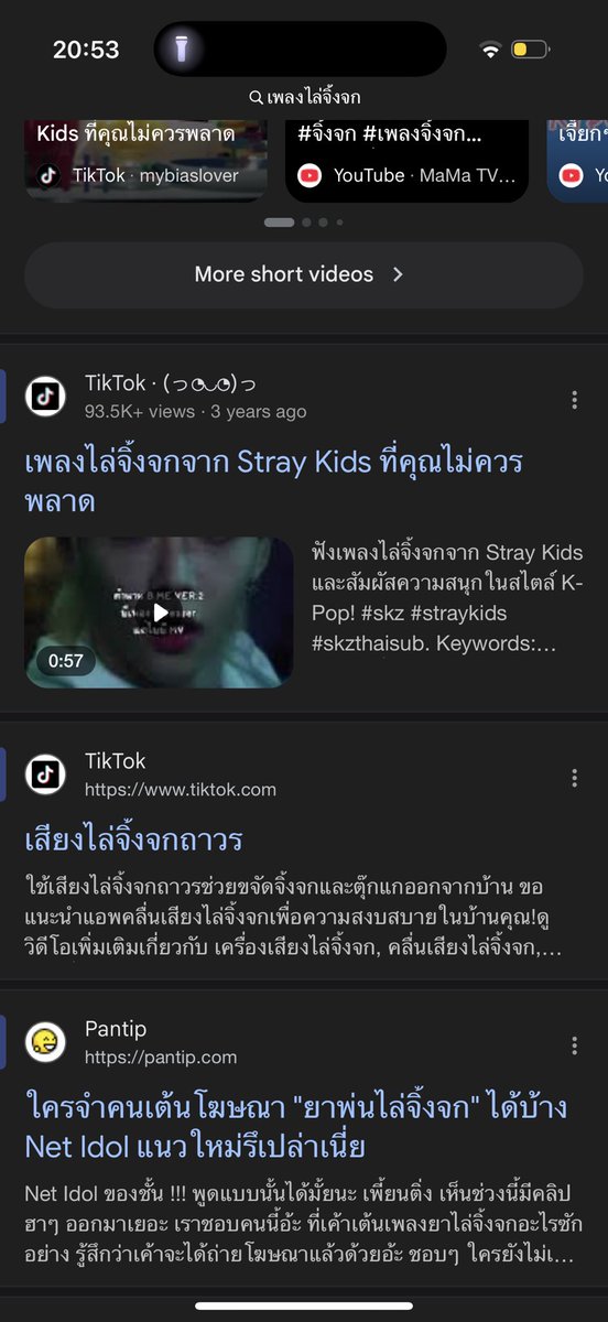 จิ้งจกเข้าห้อง พอเสิร์ชเพลงไล่จิ้งจก สิ่งที่เจอคือ