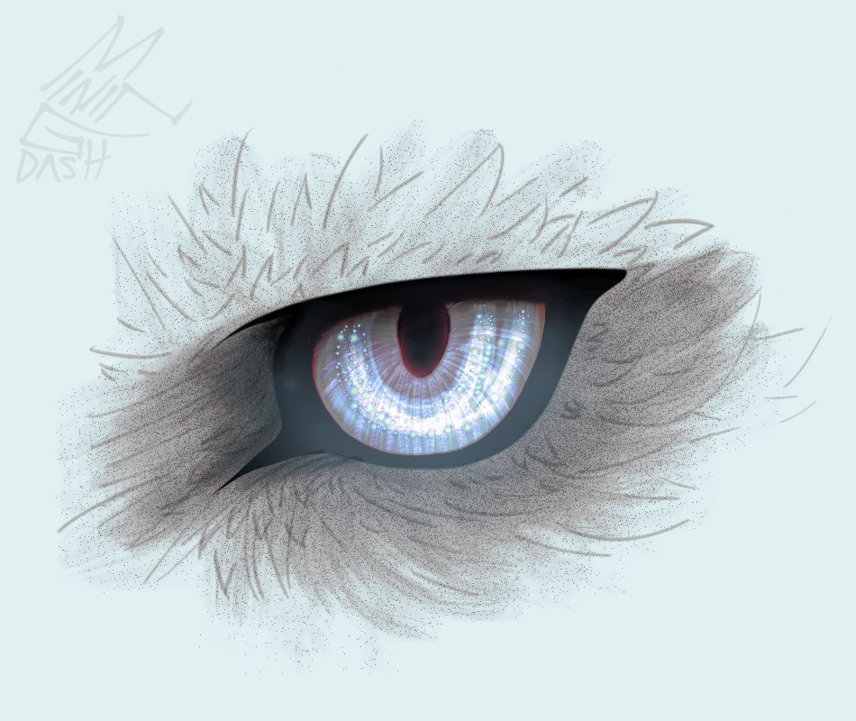 miningdash's tweet image. eye study