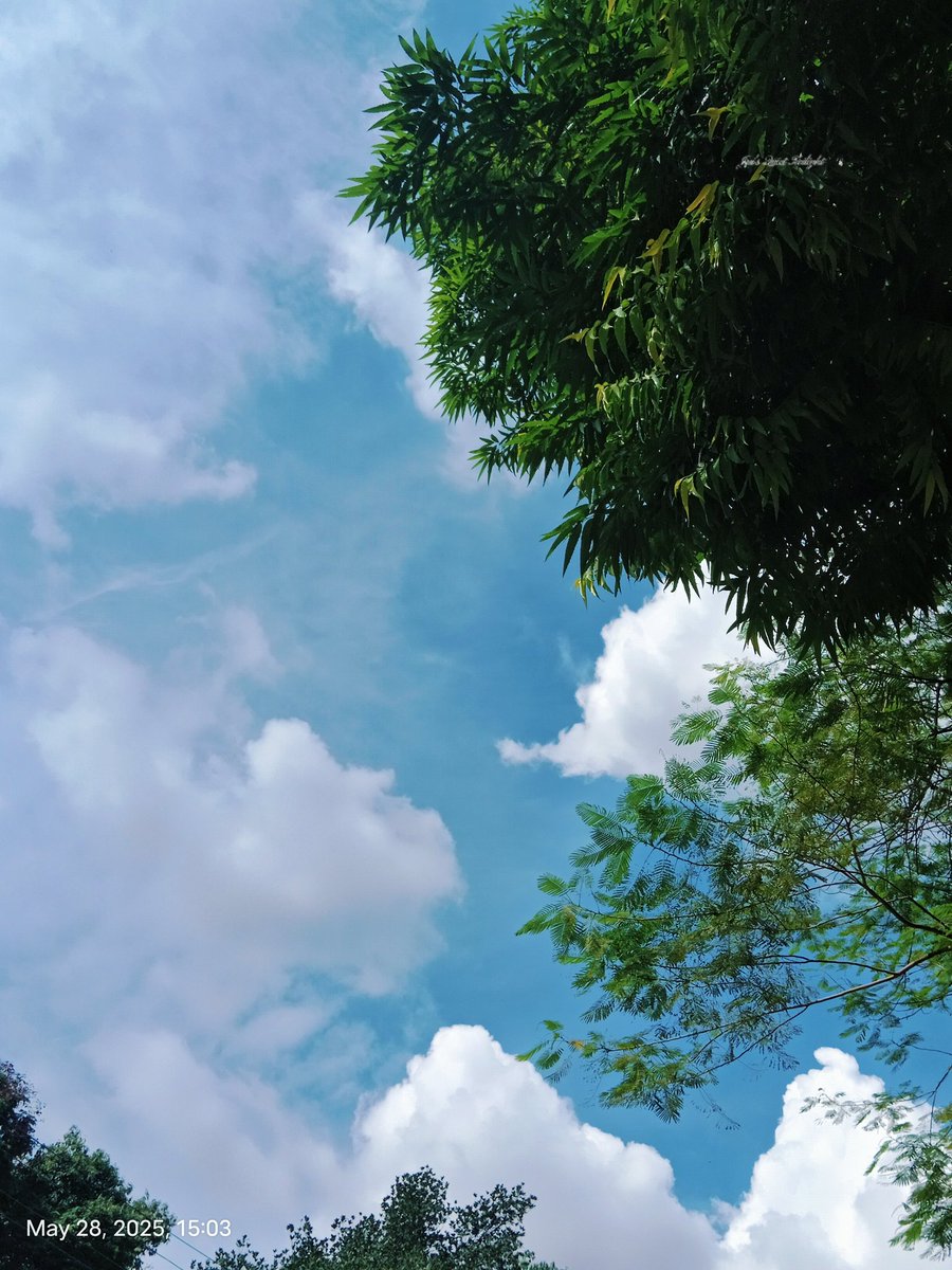 Jui_Twilight's tweet photo. Don’t know why… but lately, I’ve fallen in love with the sky.
I wasn’t like this before. But now, I find peace in nature, books, and quiet moments with myself.
There’s something so comforting about just pausing and being still, even for a little while☁️🌿
#JuisQuietTwilight #Sky https://t.co/d78D6EfWNF