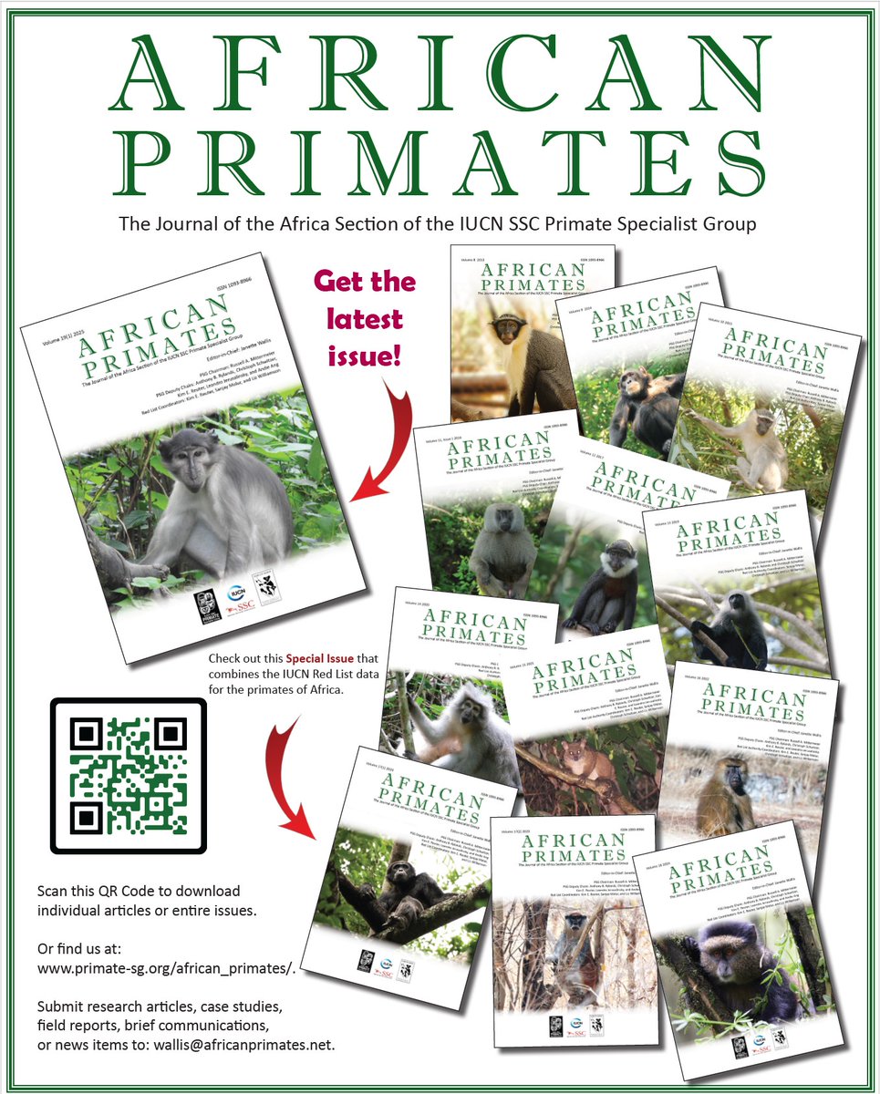 African Primates tweet media