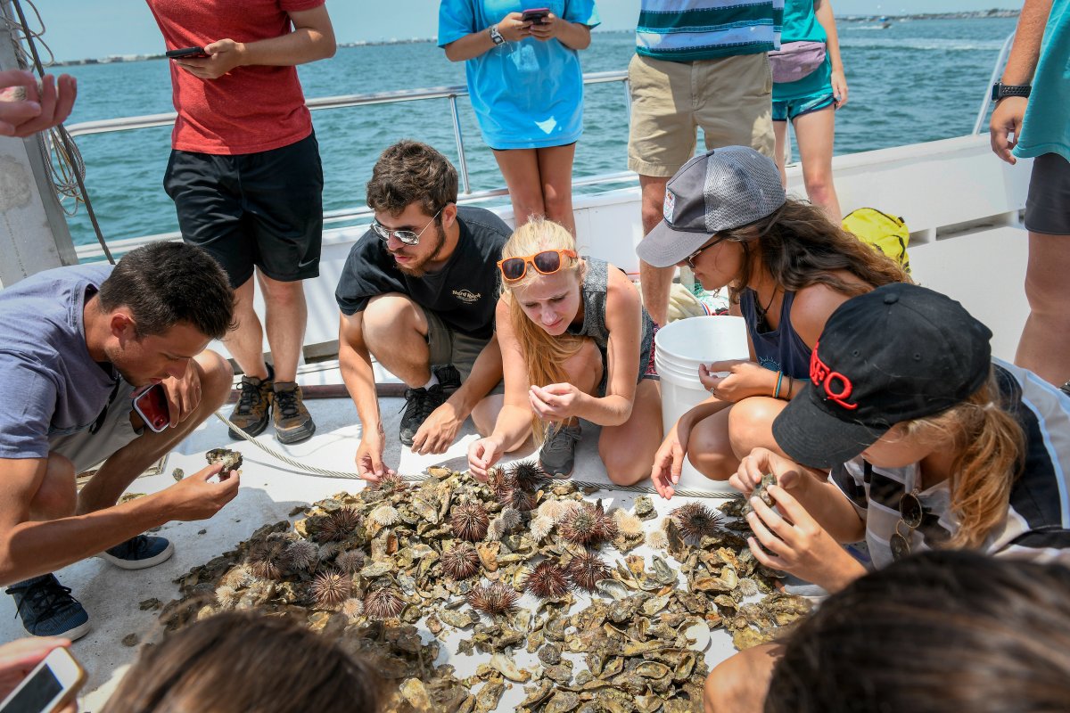 Tackle real-world ocean challenges this fall in MEA 493/591! 🌊 Open to all NC State students (sophomore+). No prerequisites, just curiosity + creativity.
🔗 Learn more: sustainability.ncsu.edu/blog/2025/07/1…