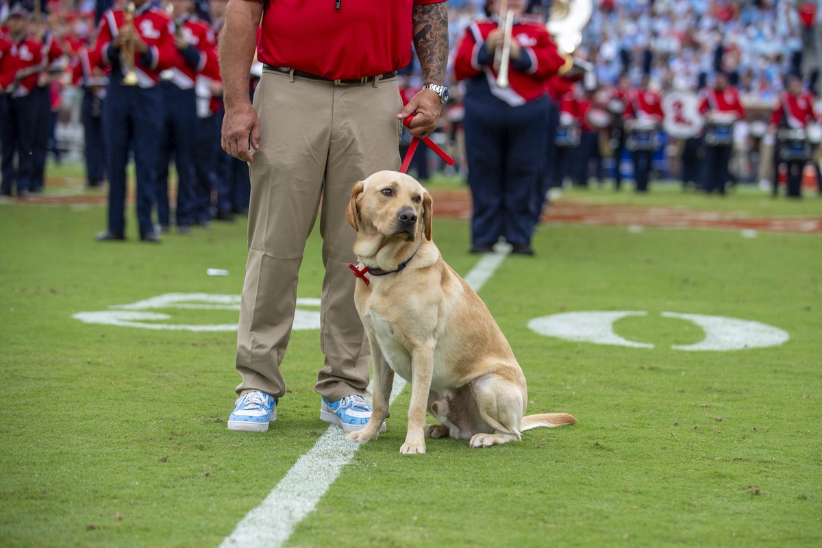 Ole Miss (@olemiss) on Twitter photo It's #FlagshipFriday and today we want to celebrate the goodest Ole Miss fans.
Reply to this post with a picture of your dog in their Ole Miss gear! #HottyToddy It's #FlagshipFriday and today we want to celebrate the goodest Ole Miss fans.
Reply to this post with a picture of your dog in their Ole Miss gear! #HottyToddy