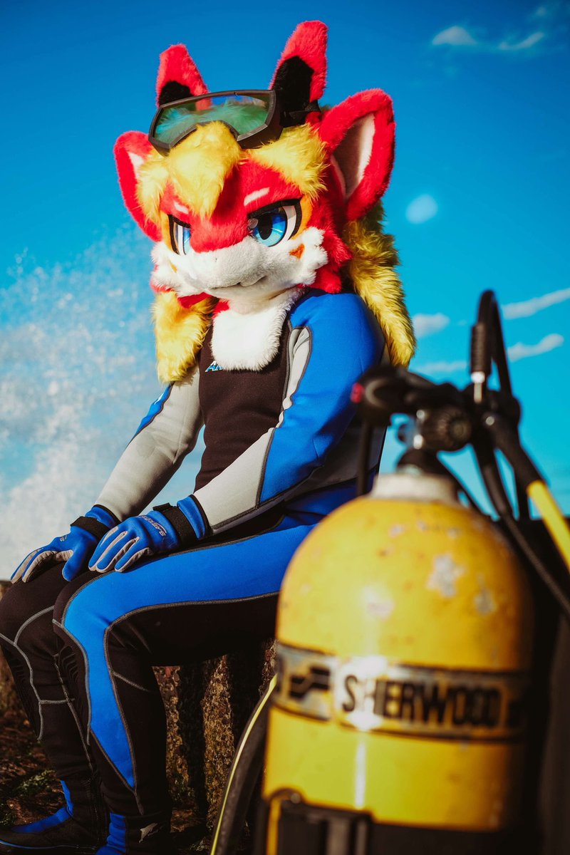 dragon_rms's tweet image. Scuba