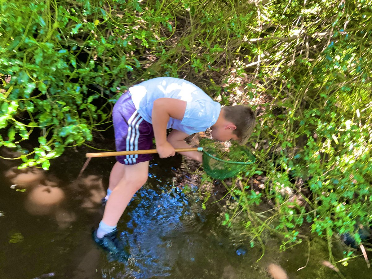 Baildon CE Primary School tweet media