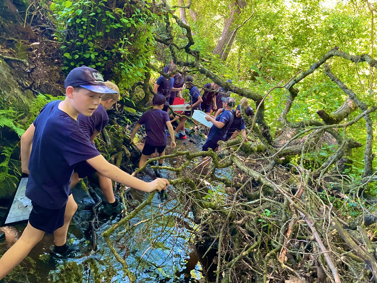 Baildon CE Primary School tweet media