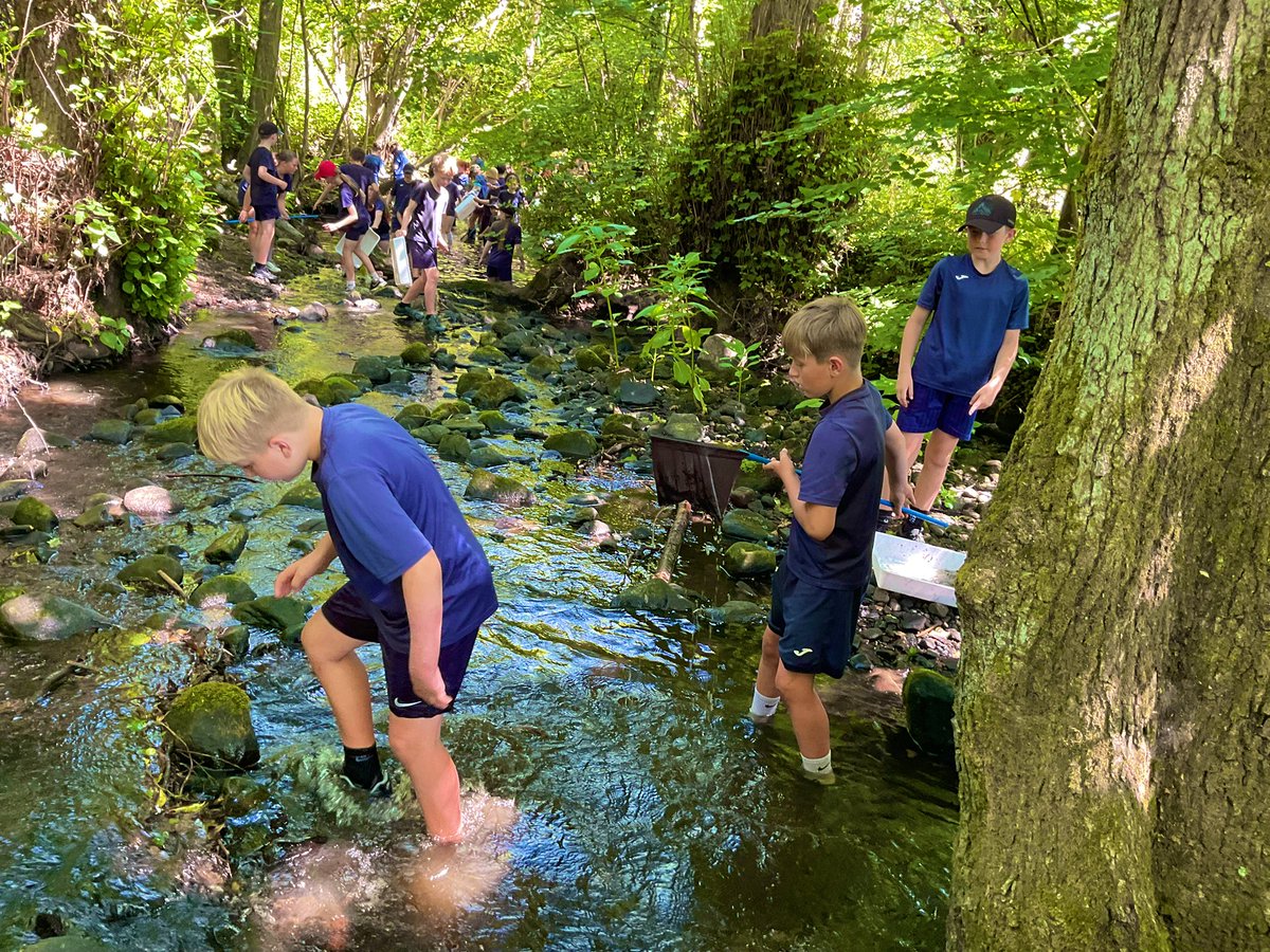 Baildon CE Primary School tweet media