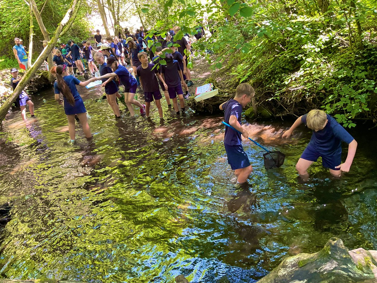 Baildon CE Primary School tweet media