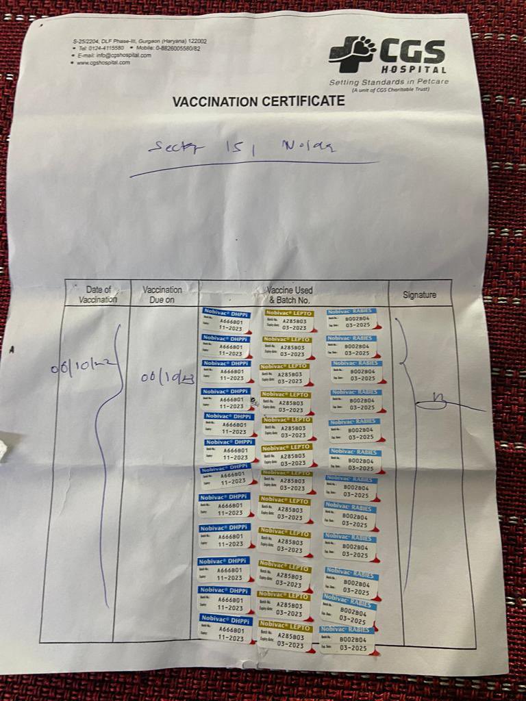 tarana2510's tweet photo. @guptadas_anando @theskindoctor13 CommunityDogs&amp;Humans  ShareTheSameEcoSytem

Providing
RegularMealsToThemMakes
CommunityDogsFriendlyToUs

Hence
WeAreAbleTo
CatchThemEasilyFor
Vaccination&amp;Sterilization 
EnsureThatTheyAre
Healthy&amp;TheirPopulationIs InControl
#ABCRules

CC @Paul_Koshy @Karan_Singhs  @Gautam_Kashyap3 https://t.co/rsYdZSh83q
