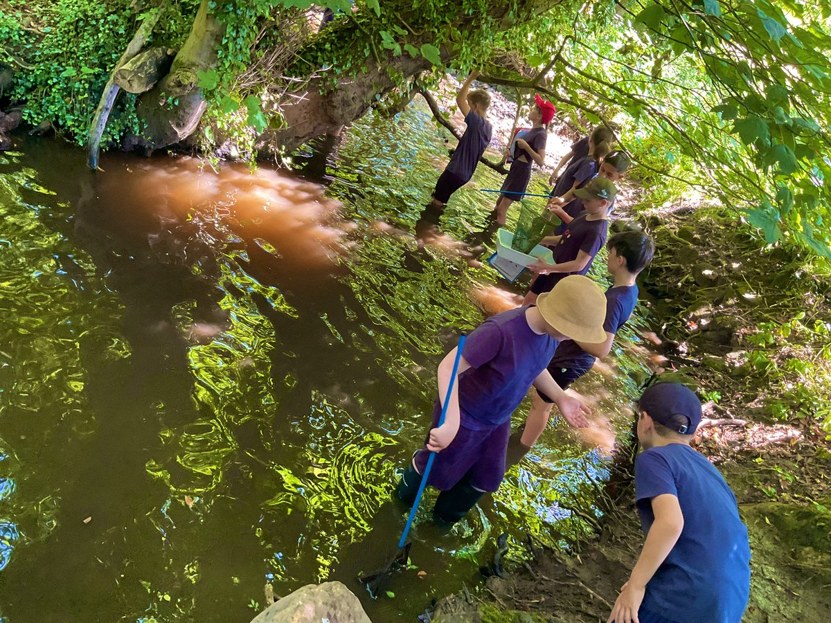 Baildon CE Primary School tweet media