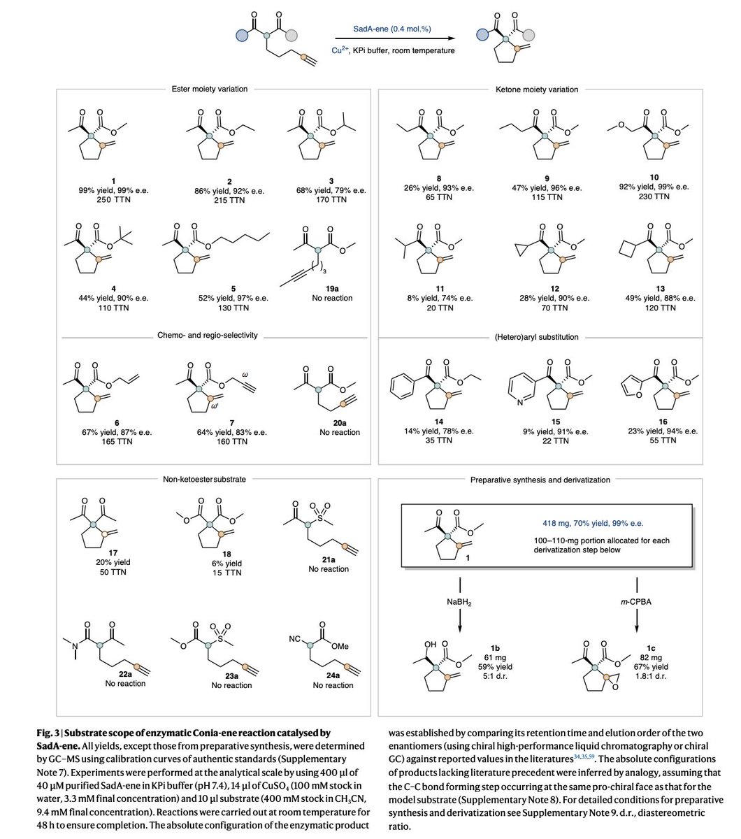 EnzymeChemistry's tweet image. Unlocking Lewis acid catalysis in non-haem #enzymes for an abiotic ene rxn by Xinpeng Mu, Xinyuan Ji, Xiahe Chen, Hongli Wu,Jinyan Rui,Xin Hong,Madison Worth, Abigail Reitz,Lucie Goldberg, @MarcGBQ, Sarah Michel, Yunfang Yang, @xiongyih in @NatureCatalysis nature.com/articles/s4192…