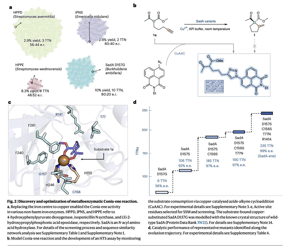 EnzymeChemistry's tweet image. Unlocking Lewis acid catalysis in non-haem #enzymes for an abiotic ene rxn by Xinpeng Mu, Xinyuan Ji, Xiahe Chen, Hongli Wu,Jinyan Rui,Xin Hong,Madison Worth, Abigail Reitz,Lucie Goldberg, @MarcGBQ, Sarah Michel, Yunfang Yang, @xiongyih in @NatureCatalysis nature.com/articles/s4192…
