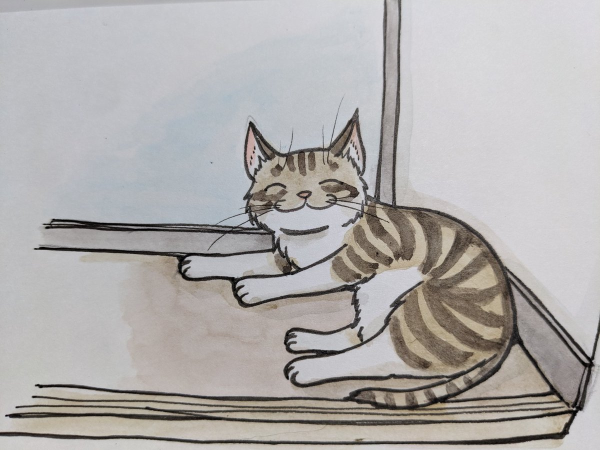 paseri021's tweet image. Have a good weekend. 😺
 ＃pasericat