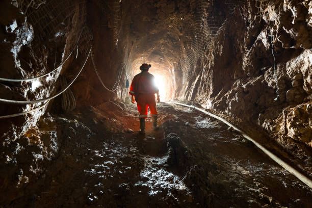 jorgegavino's tweet image. Hoy se celebra en México el Día del Minero, en conmemoración de la fundación del Sindicato de Trabajadores Mineros, Metalúrgicos y Similares de la República Mexicana (SITMMSRM) en 1934.
Honor a quienes, con valentía y esfuerzo, extraen de la tierra los recursos que impulsan al…