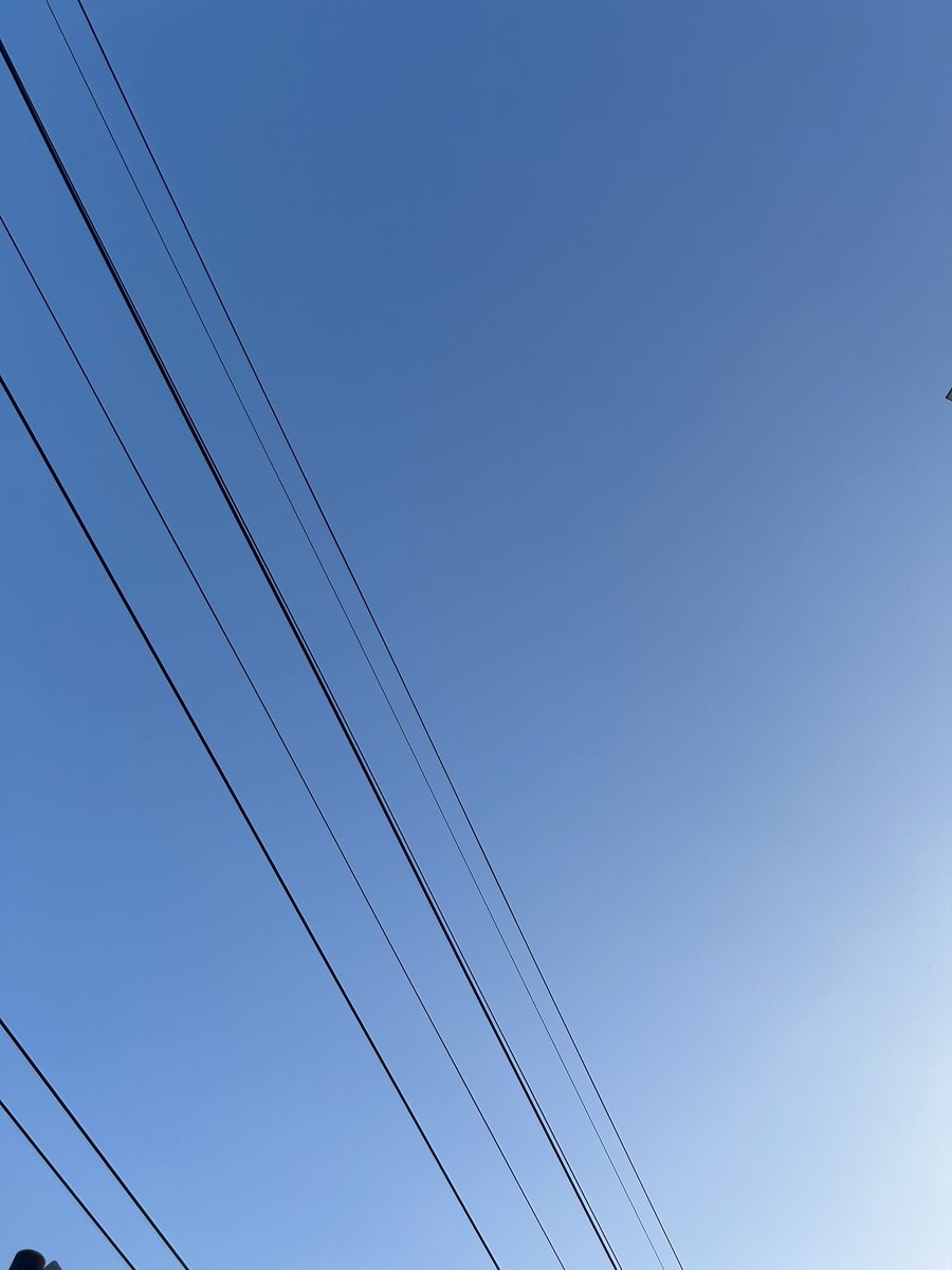 2025.07.21(月)
ano:film主催イベント『宿木4章』 

場所:堺筋本町clubMERCURY
OPEN 19:00 / START 19:30
ADV ¥2,000 / DOOR¥2,500(＋1D)

会えるかなあ、話したいことあるで