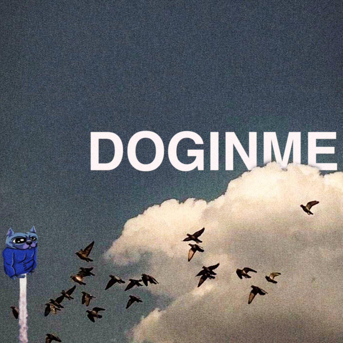 the skies are clearing

#doginme