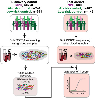 Online Now: Blood TCRs go to town with early NPC detection dlvr.it/TLsTk2