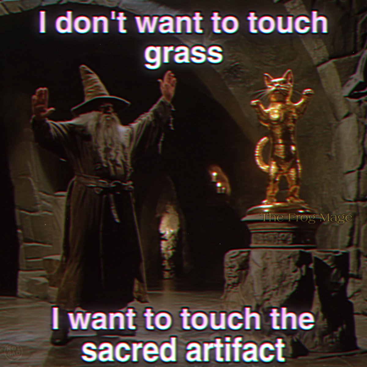The Frog Mage tweet media