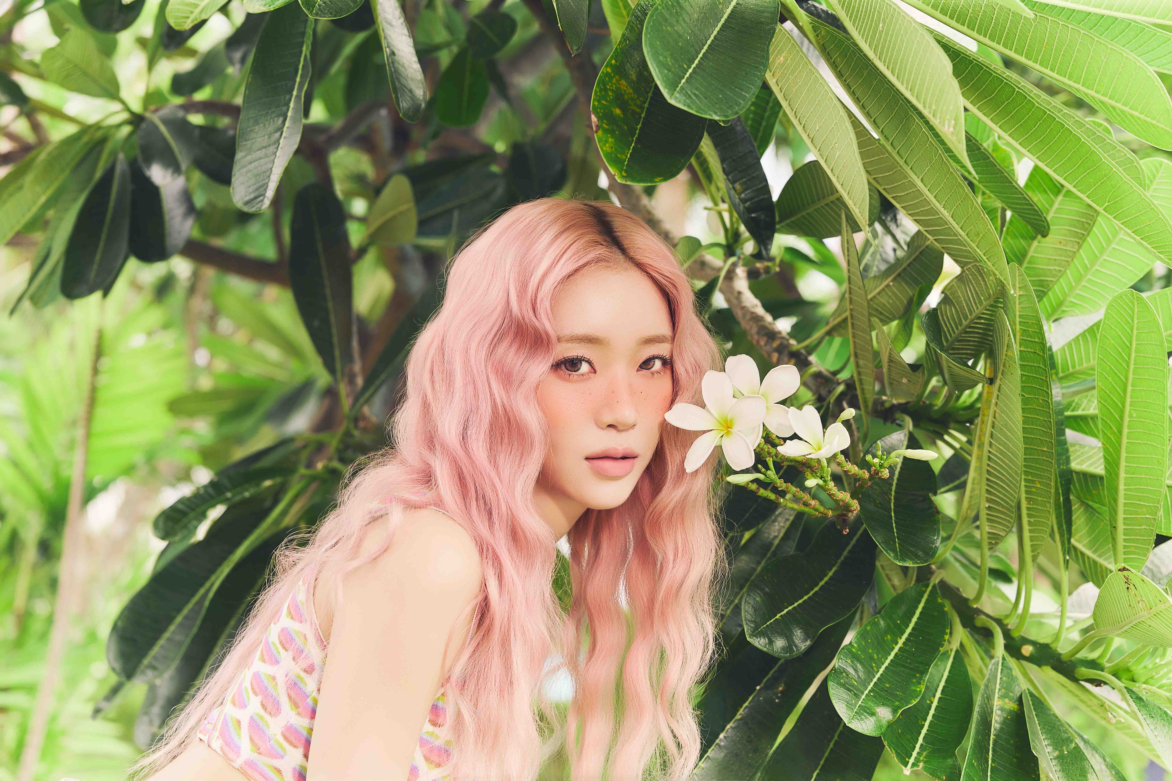 GvlTOhlWcAAlxuq?format=jpg&name=4096x4096