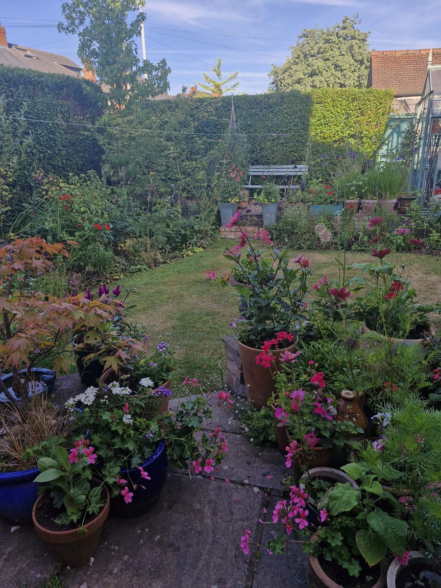 LongFieldMelton's tweet image. Mr Haggett’s garden looking nice in the sunshine! @satrust_ @meltontimes