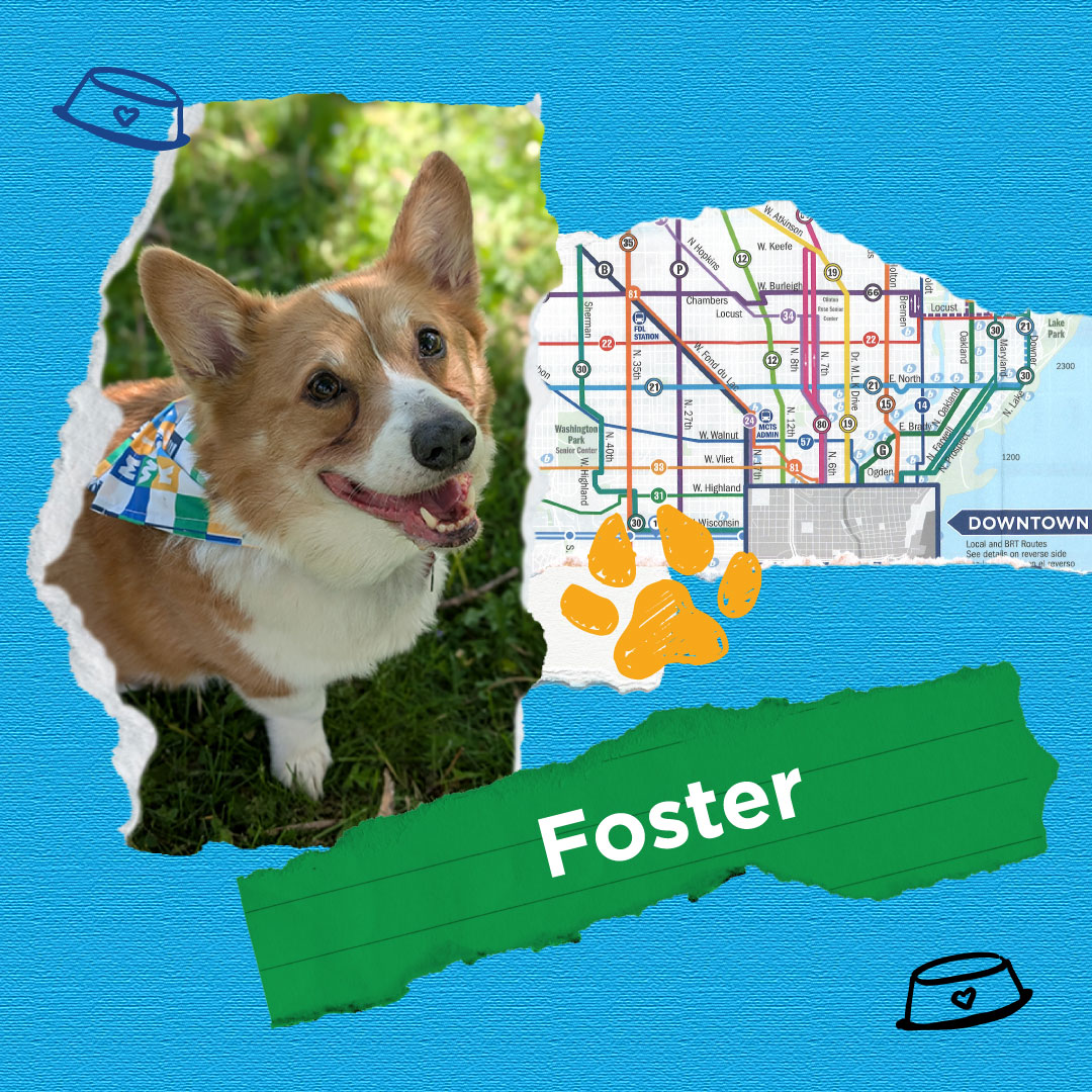 RideMCTS's tweet image. What better way to celebrate All-American Pet Photo Day than to share some of our staff members' pets in our cool new merch store bandanas!