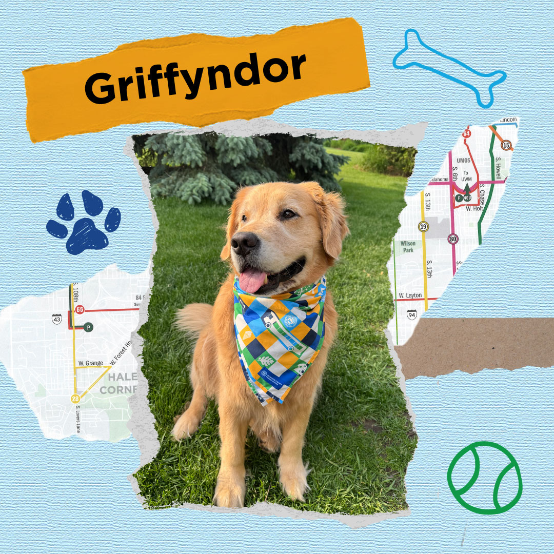 RideMCTS's tweet image. What better way to celebrate All-American Pet Photo Day than to share some of our staff members' pets in our cool new merch store bandanas!