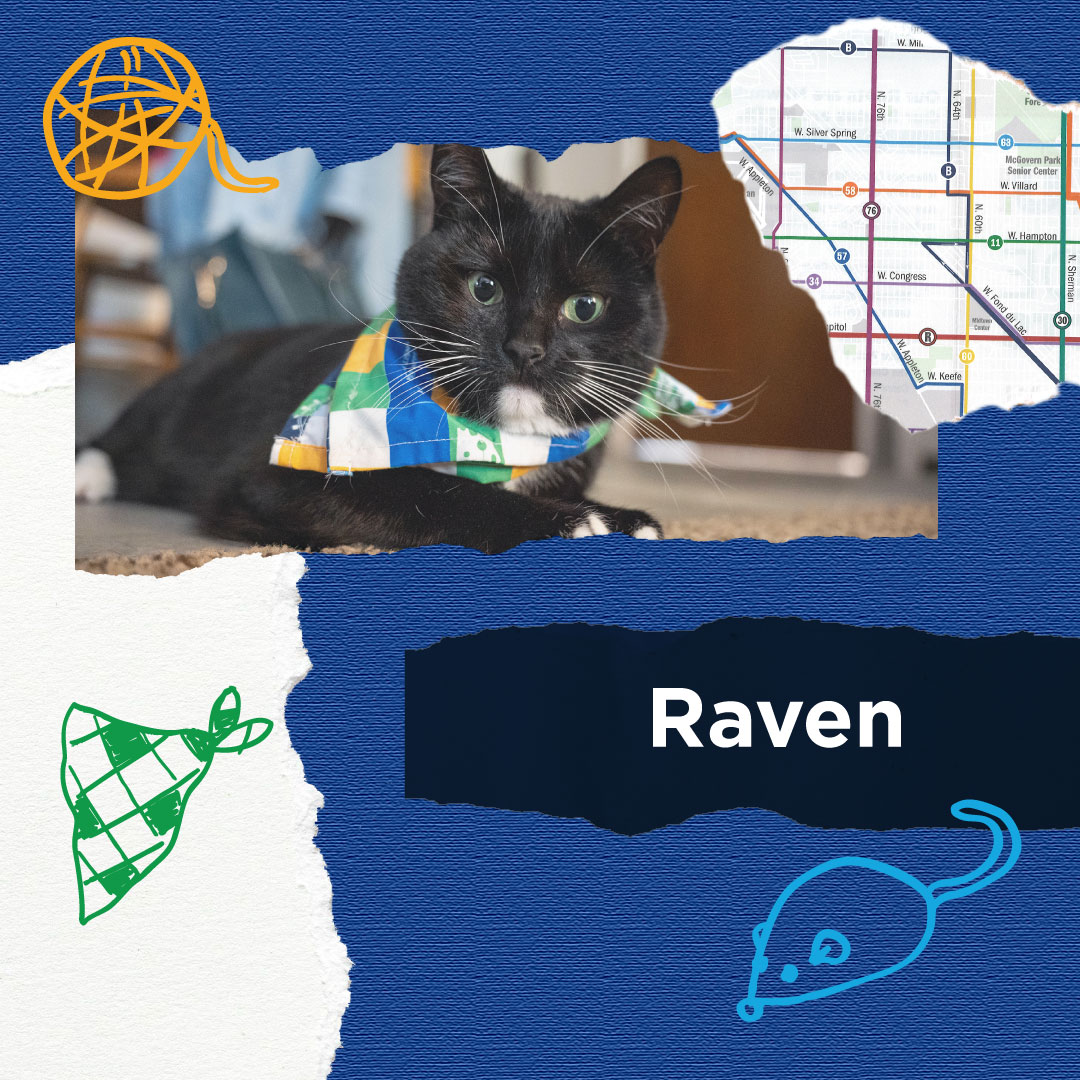 RideMCTS's tweet image. What better way to celebrate All-American Pet Photo Day than to share some of our staff members' pets in our cool new merch store bandanas!
