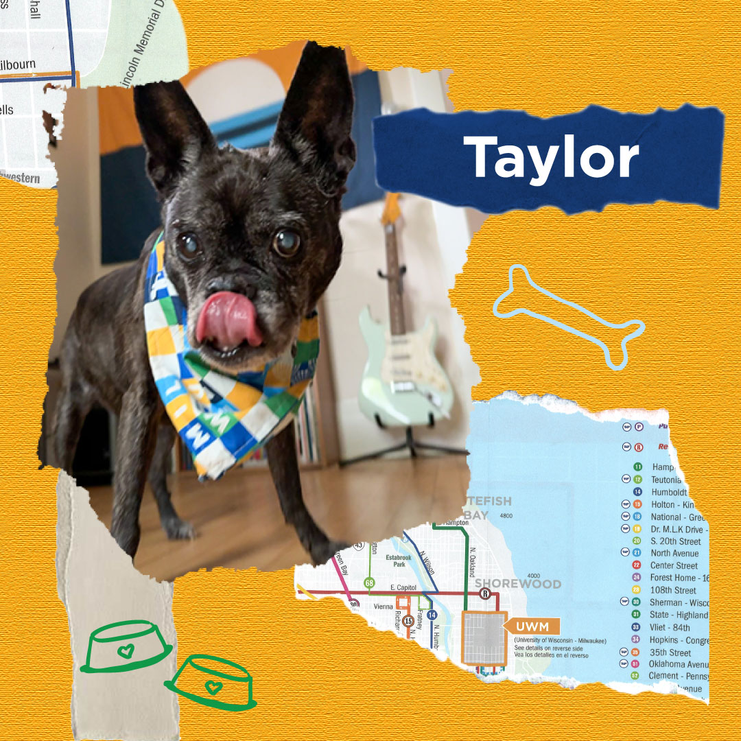 RideMCTS's tweet image. What better way to celebrate All-American Pet Photo Day than to share some of our staff members' pets in our cool new merch store bandanas!