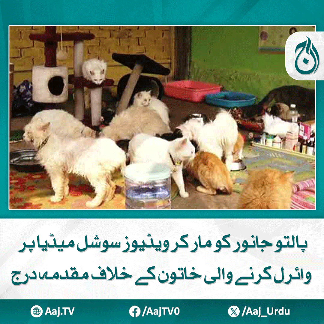 Aaj_Urdu's tweet image. ملزمہ سابق ماڈل اور اداکارہ ہے، ذہنی توازن درست نہیں، مینٹل اسپتال منتقل کردیا گیا، پولیس

مزید پڑھیے: aaj.tv/news/30471515/

#AajNews #ViralVideo #FormerModel #ActressInvolved #MentalHealth #PoliceCase #Pakistan