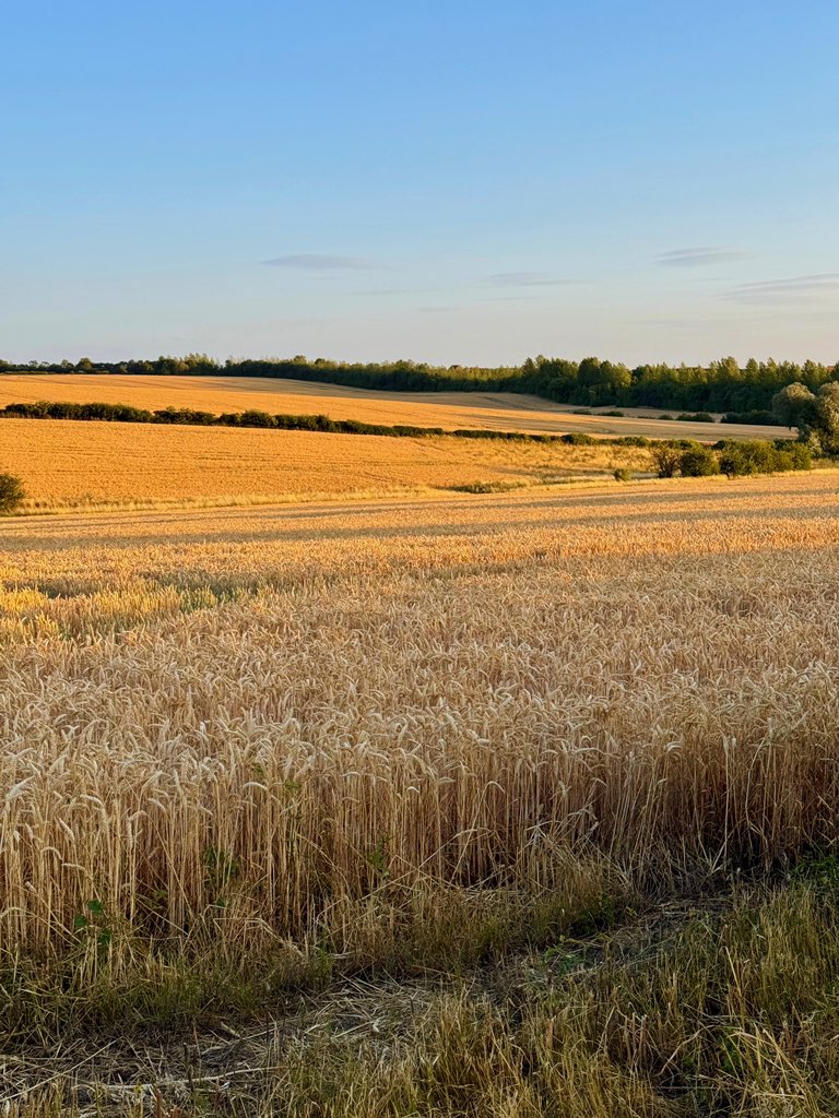 ‘Light makes no noise. If we want to approach this luminous source, we must assume an attitude of contemplation and silence.’

Cardinal Sarah, The Power of Silence