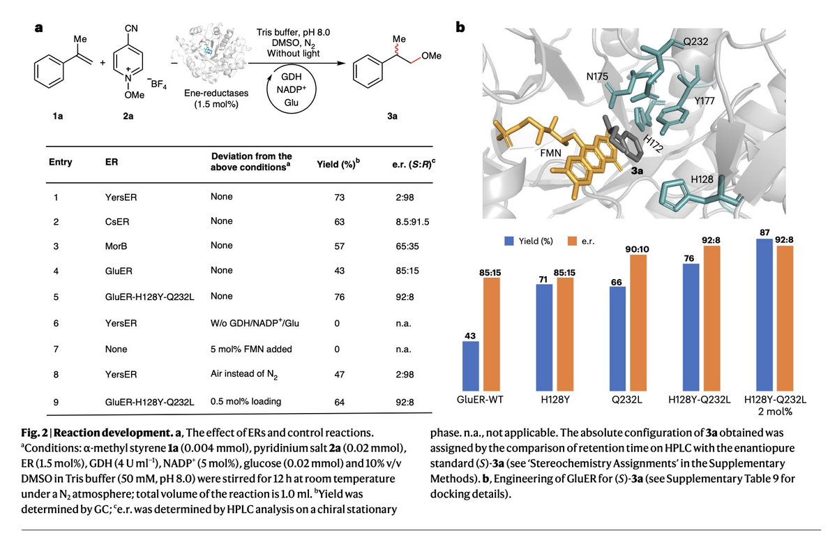 EnzymeChemistry's tweet image. Steering oxygen-centred radicals with ground-state ene-reductases for enantioselective intermolecular hydroalkoxylations by Bin Chen, Qiaoyu Zhang, Jinhai Yu, Beibei Zhao, Ran Ge, Zihan Zhang, Ding Luo, Binju Wang, and @huangx513 in @NatureCatalysis nature.com/articles/s4192…