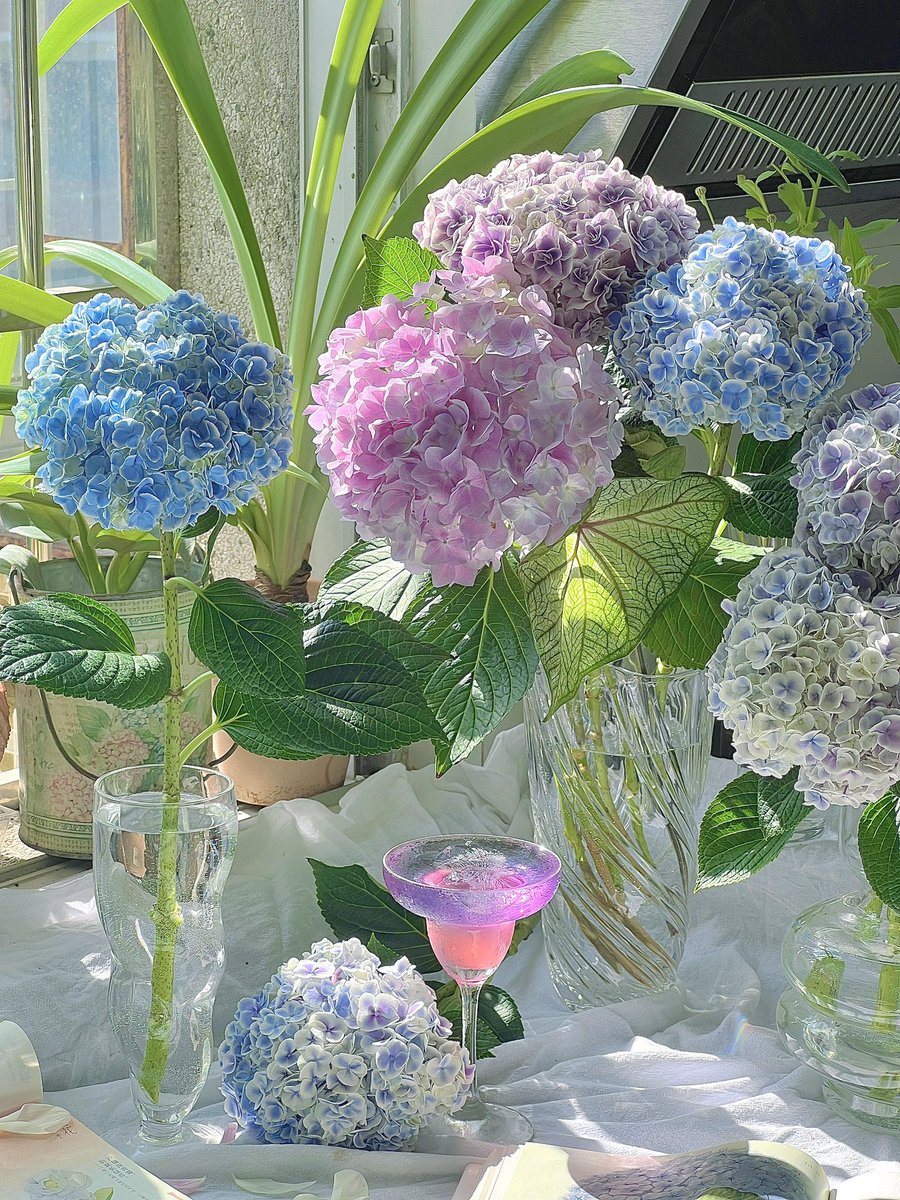 一只幸运猫🐱 (@hanmiemiel15604) on Twitter photo 