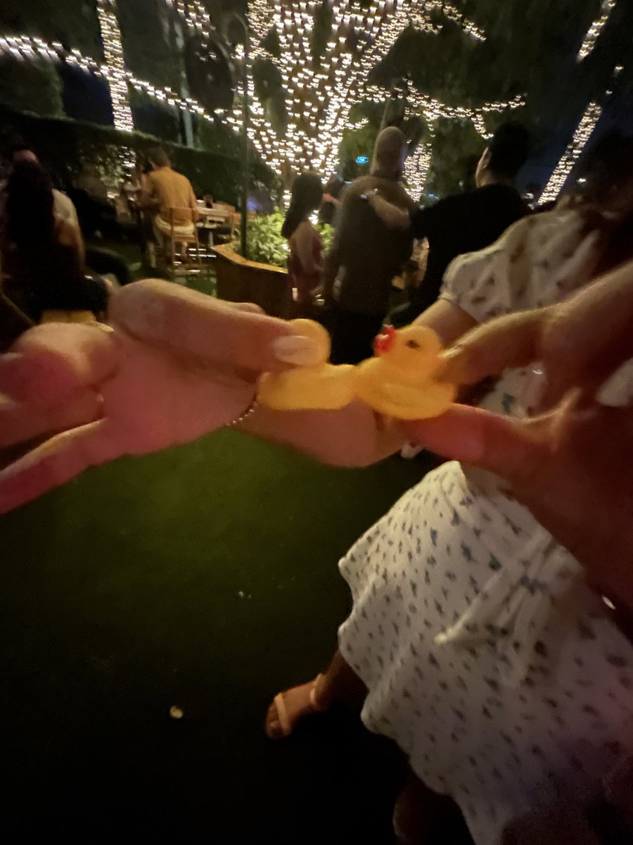 sorry, i can’t hang out. i gotta get my ducks in a row