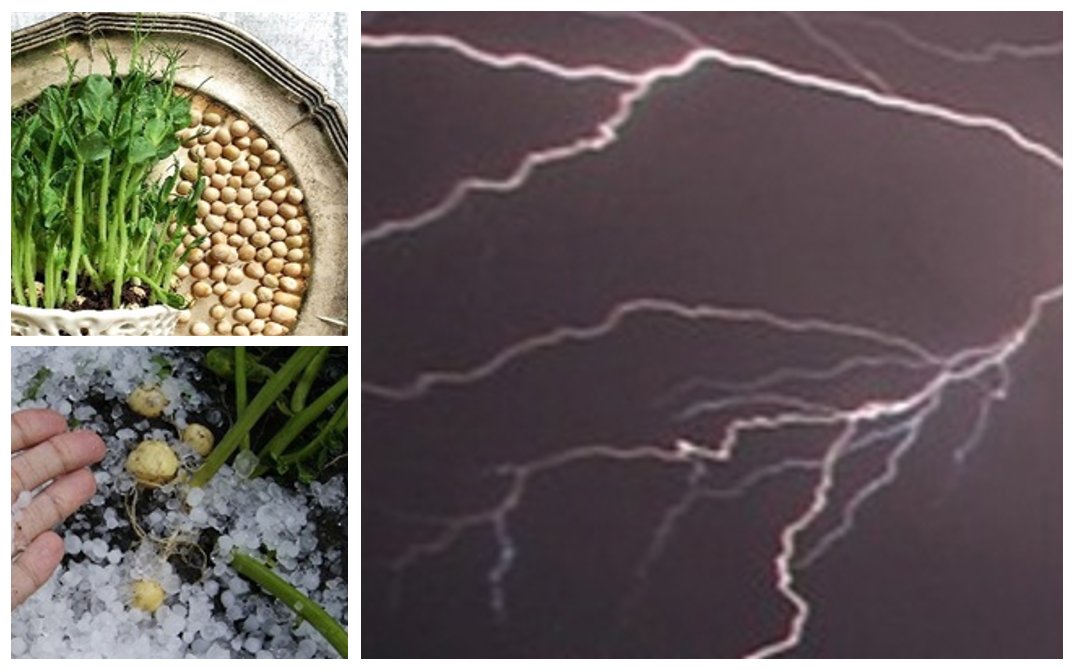 Gardeners' Corner at Calgary Horticultural Society - mailchi.mp/calhort/garden…
It about the weather. Read our e-news to learn more about this class: Be a Senior volunteer.
Subscribe bit.ly/3mFnHM