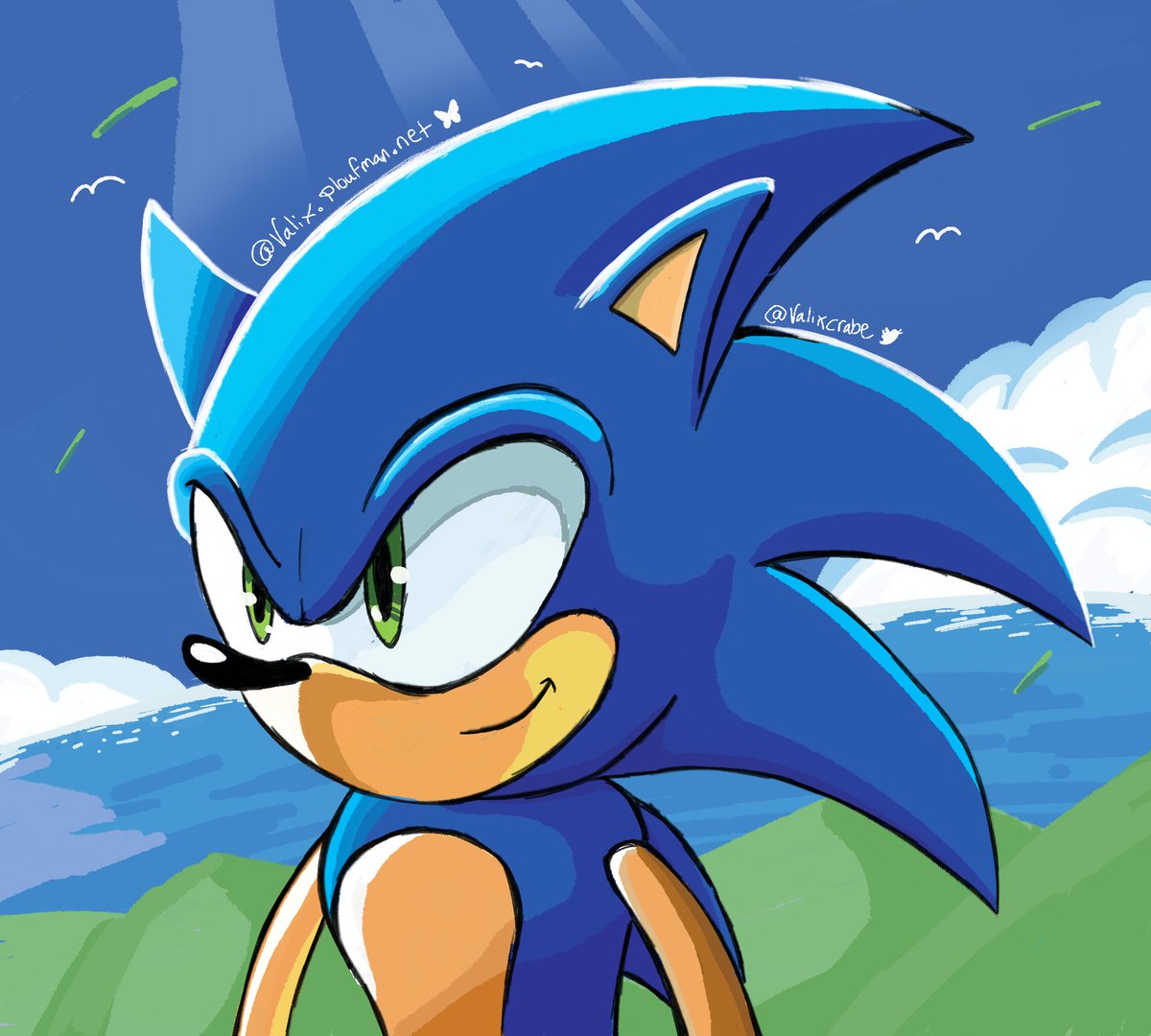 Pretty happy with this one ! 

Heavily inspired by the cover of the first IDW Sonic issue 🫡