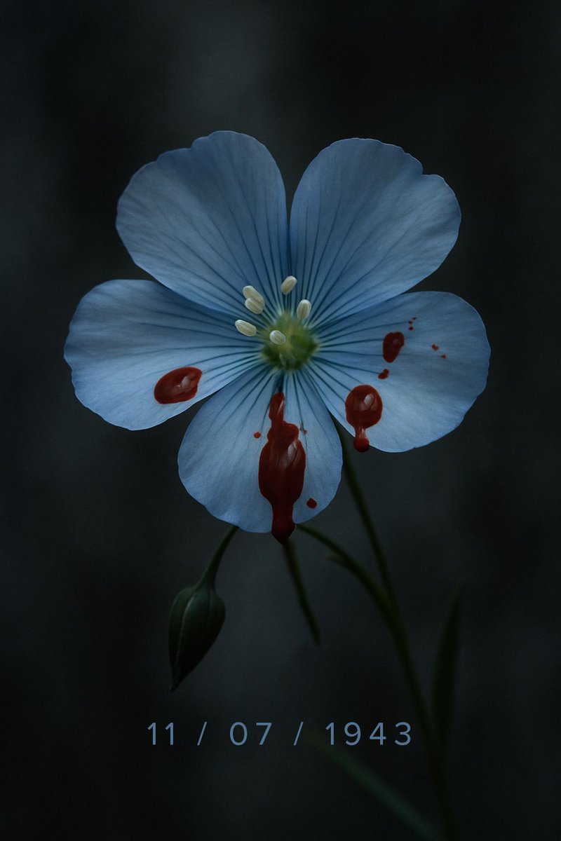 11 lipca 1943 r. to tylko symbol. Ludobójstwo ukraińskie trwało (z różnym natężeniem) przez lata. Dla nas to rzecz straszna, dla aktualnych władz Ukrainy to tylko "epizody" i "incydenty". Czyli prawie nic.
No i to, jako podsumowanie.
Wołodymyr Zełenski: "Jako Ukraińcy nigdy nie