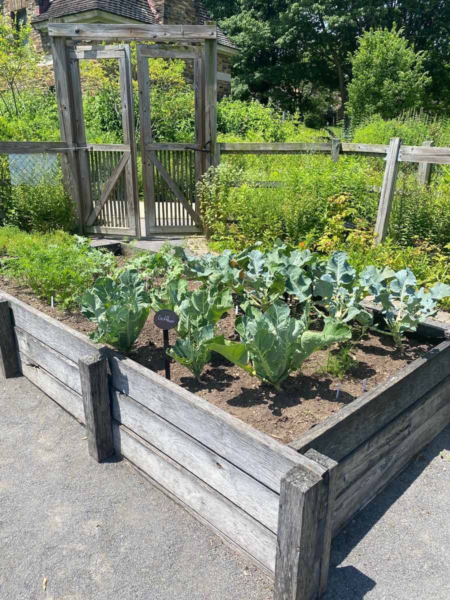 pittsburghparks's tweet image. 🌿 🍅 ☘️ Have you ever visited the From Slavery to Freedom Garden at the Frick Environmental Center? The garden tells the story of how enslaved peoples in the United States made the journey north by leveraging the wild plants around them for nutritional and medicinal purposes.…