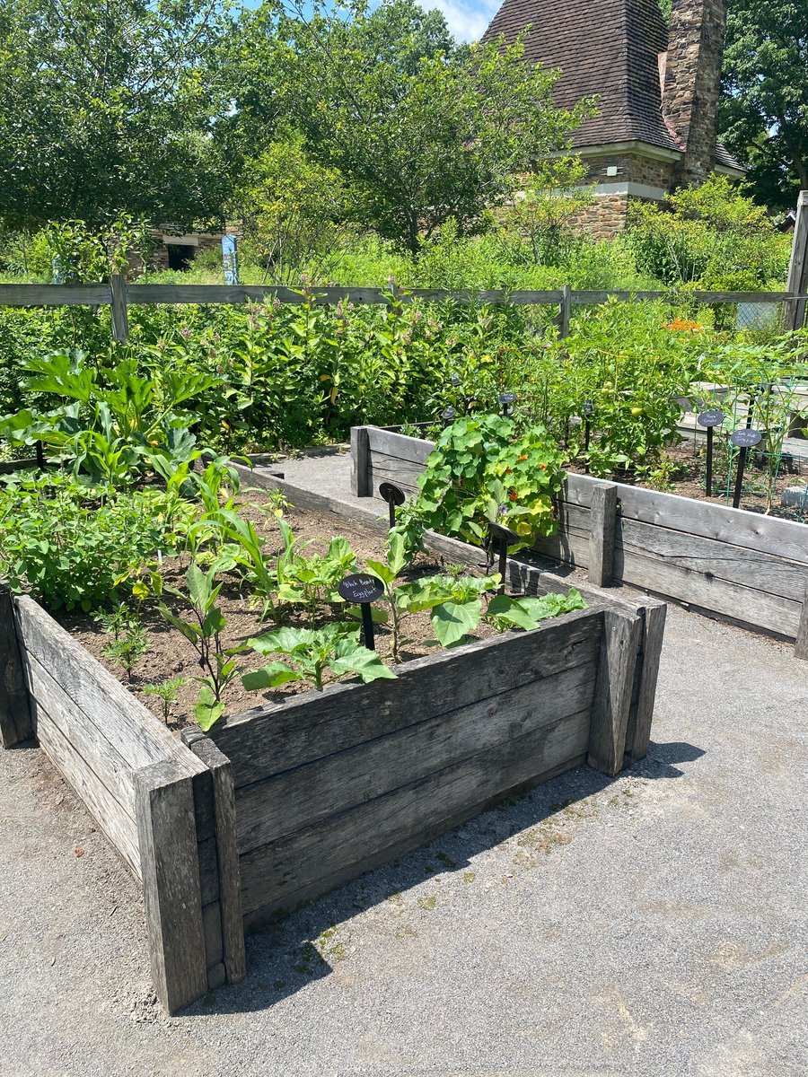 pittsburghparks's tweet image. 🌿 🍅 ☘️ Have you ever visited the From Slavery to Freedom Garden at the Frick Environmental Center? The garden tells the story of how enslaved peoples in the United States made the journey north by leveraging the wild plants around them for nutritional and medicinal purposes.…