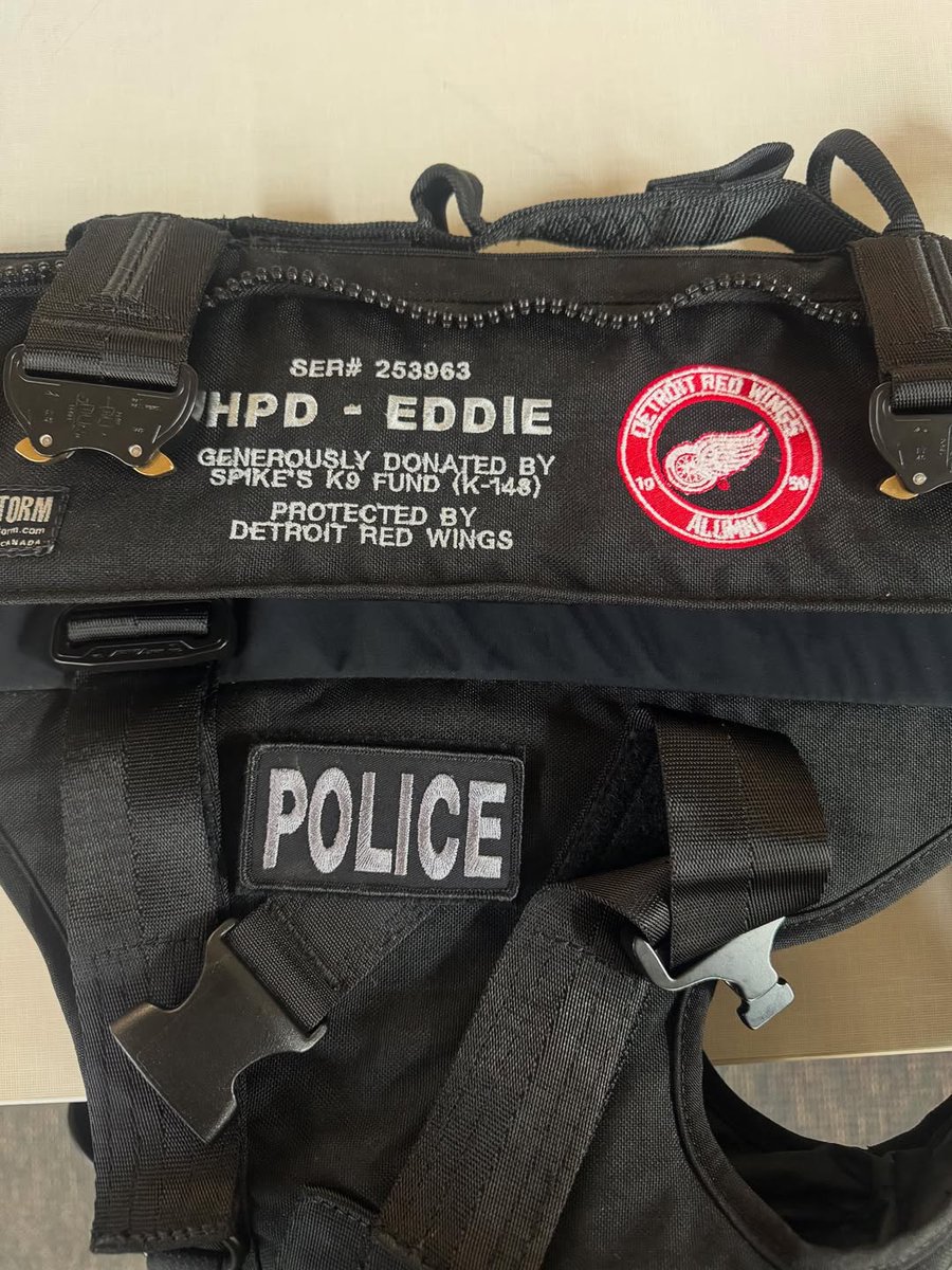 Spikesk9fund's tweet image. 🐺 K9 Eddie is now protected, thanks to the @DetroitRedWings Alumni!

Their generous support helped provide Eddie, a dual-purpose K9 with the Holland Department of Public Safety in MI, with a custom-fit K9 Storm vest through our K9 Krijger #BallisticVest Campaign.

Eddie now has
