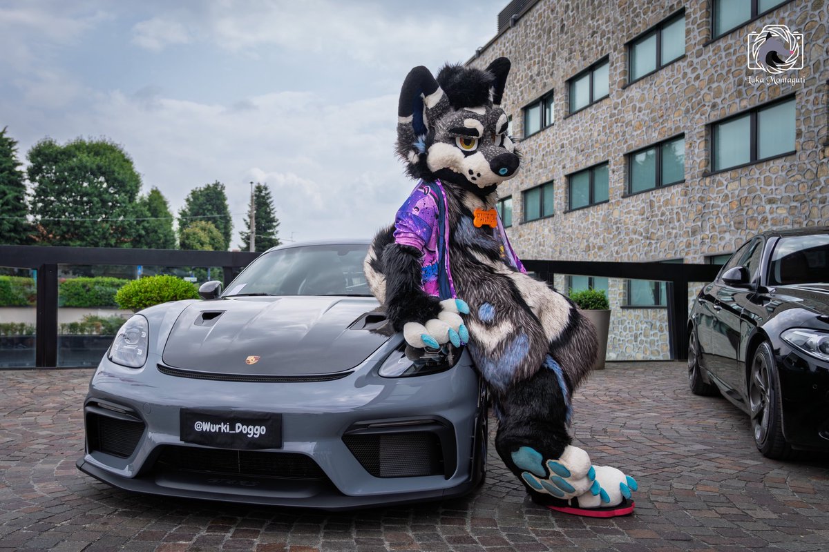 Maverick & Slushy 🔜Furizon🇮🇹 (@maverickthehusk) on Twitter photo You Wanna go for a ride?
#FursuitFriday
📸Photo by.: <a href="/MontagutiLuca/">MontagutiLuca</a>
🏎️Car Owner: <a href="/Wurki_Doggo/">Wurki the Corgi 🐾</a>
📍Con at.: <a href="/FurizonEvents/">Furizon</a> You Wanna go for a ride?
#FursuitFriday
📸Photo by.: <a href="/MontagutiLuca/">MontagutiLuca</a>
🏎️Car Owner: <a href="/Wurki_Doggo/">Wurki the Corgi 🐾</a>
📍Con at.: <a href="/FurizonEvents/">Furizon</a>