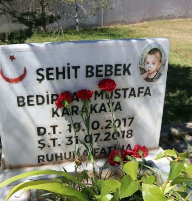 Özgür #MattiaAhmetMinguzzi (@bugrathewise) on Twitter photo 