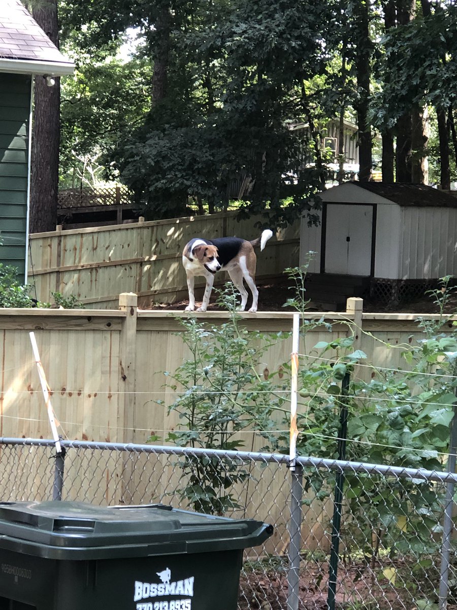 Ginger Finley tweet media