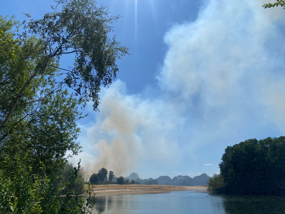 As sure as night follows day wildfire season is here on Wanstead Flats :(