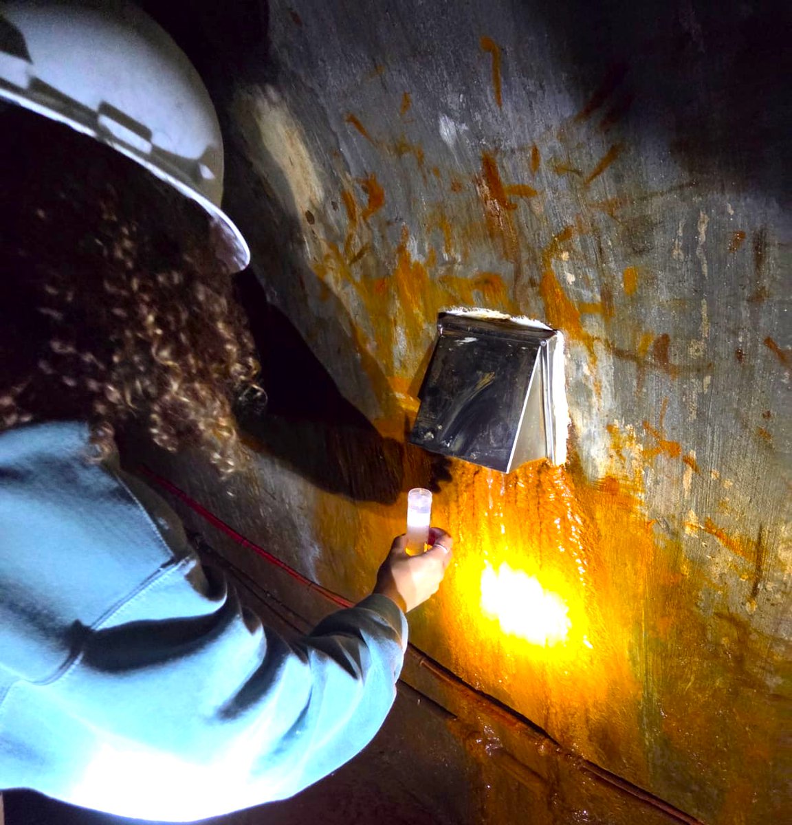 SciencesNCL's tweet image. I collected water samples from the Lort Dene, a hidden river from Leazes Park to the River Tyne. I&apos;m studying its bacterial diversity, which has never been done before. I also sampled the Victorian Tunnels&apos; iron-rich water. Stay tuned for interesting results! #WeAreNCL #placement