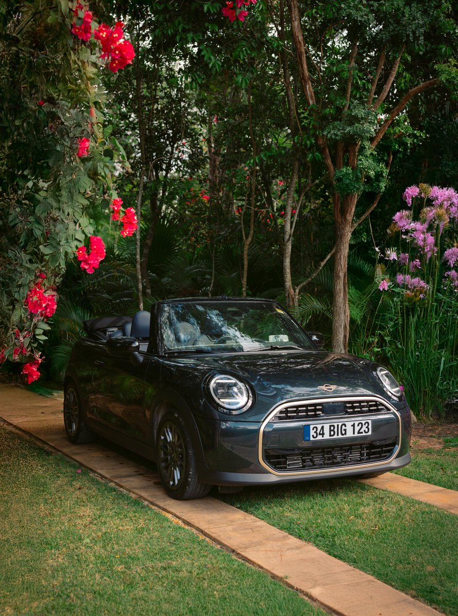 Kameraya takılan büyüleyici bir güzellik ve birkaç çiçek. 💐

#MINICooperS #Cabrio #BIGLOVE #HerAnÖzgür