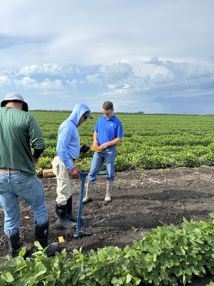 This week we planted PH Hill plots to gather localized data on soybean pH tolerance. Testing multiple Asgrow varieties to give farmers the best research-backed recommendations! 🌱 #AgResearch #Soybeans #asgrow