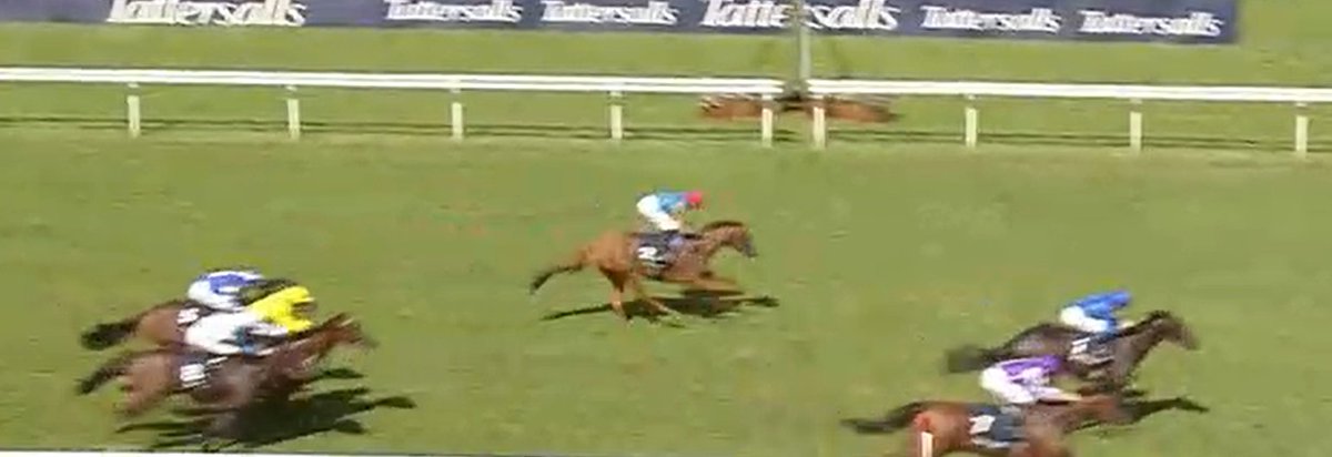 AIDANOBRIENFANSITE tweet media